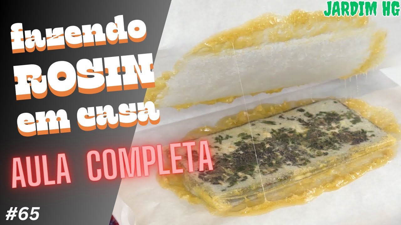 COMO FAZER ROSIN - EXTRA&Ccedil;&Atilde;O de CONCENTRATO de Cannabis (Haxixe)