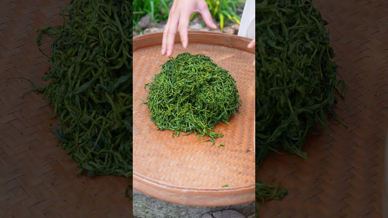 Picking tea from a 200-year-old ancient tea tree in the mountains, it took three days to make a cup