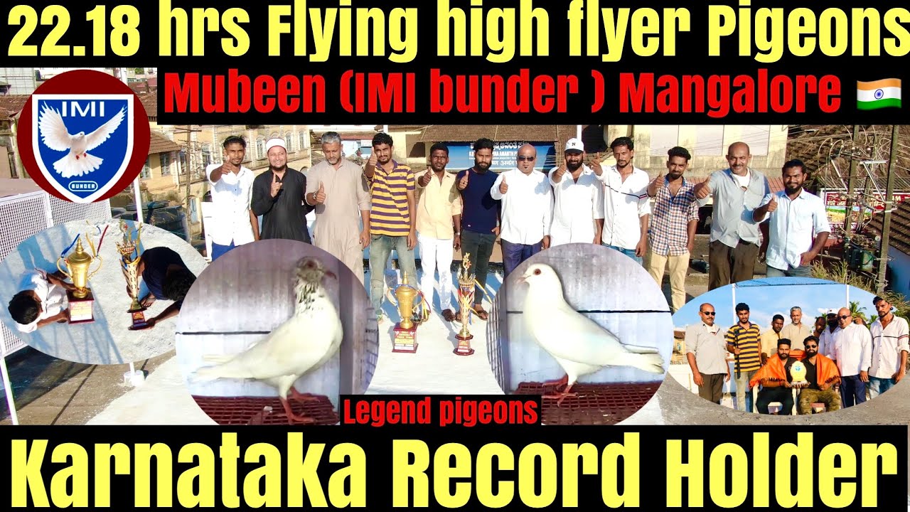 22.18 hrs high flyer pigeons | Karnataka record | Pigeon tournament | कबूतर टूर्नामेंट |Ep :12 [4k]