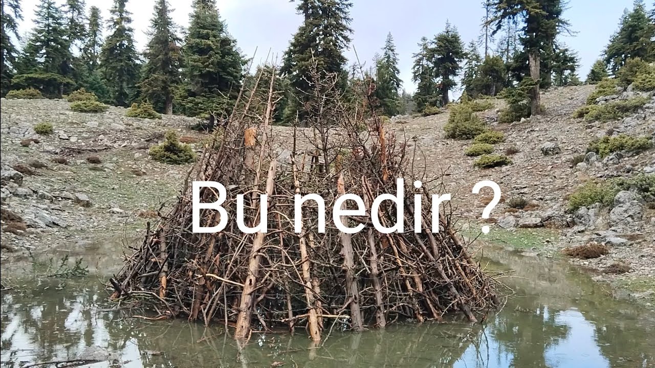 Avluk Platosunda Kamp; göller, sümbüller ve mantar 🇹🇷