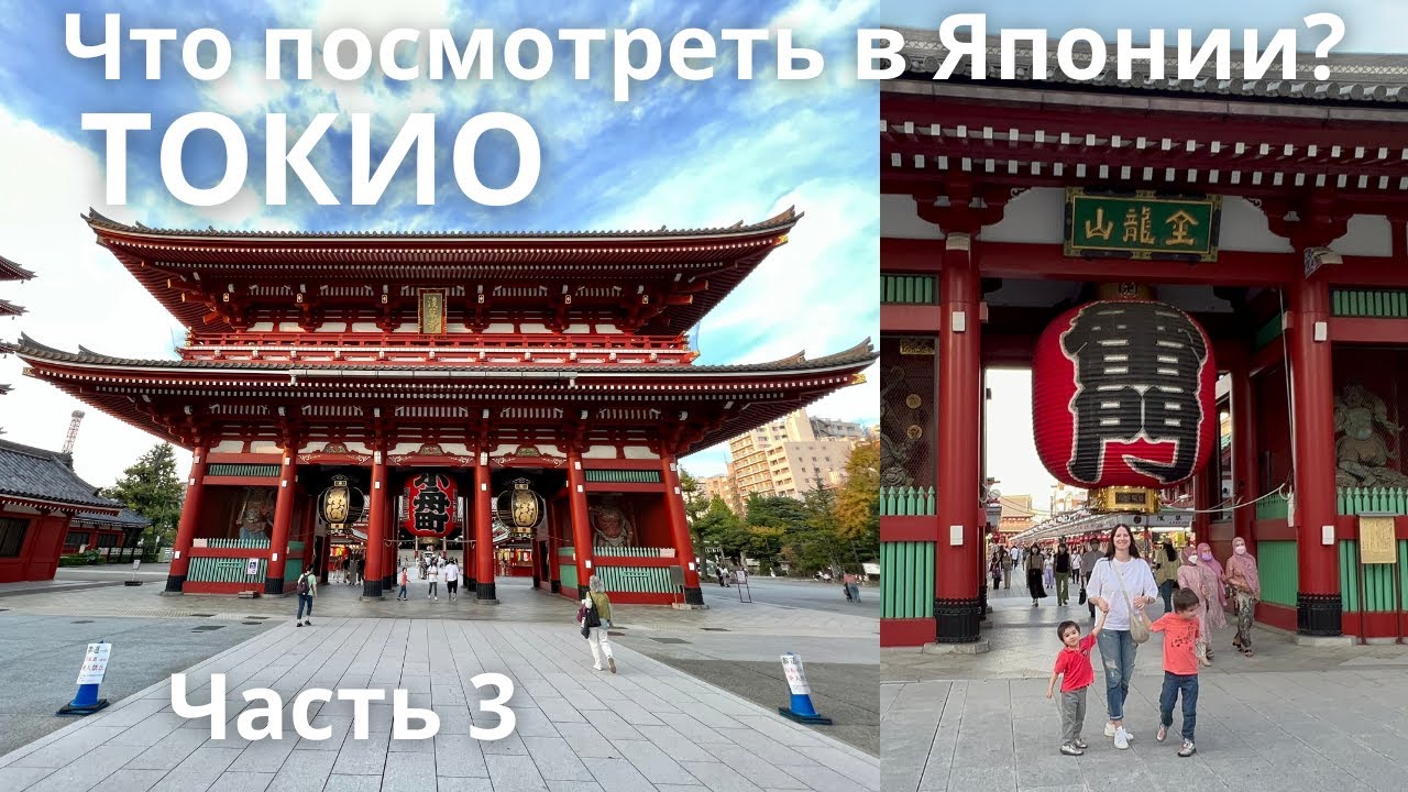 Семейное путешествие в Токио, 2021 год. Аскакуса, Сэнсодзи, зоопарк Уэно. Влог Япония.