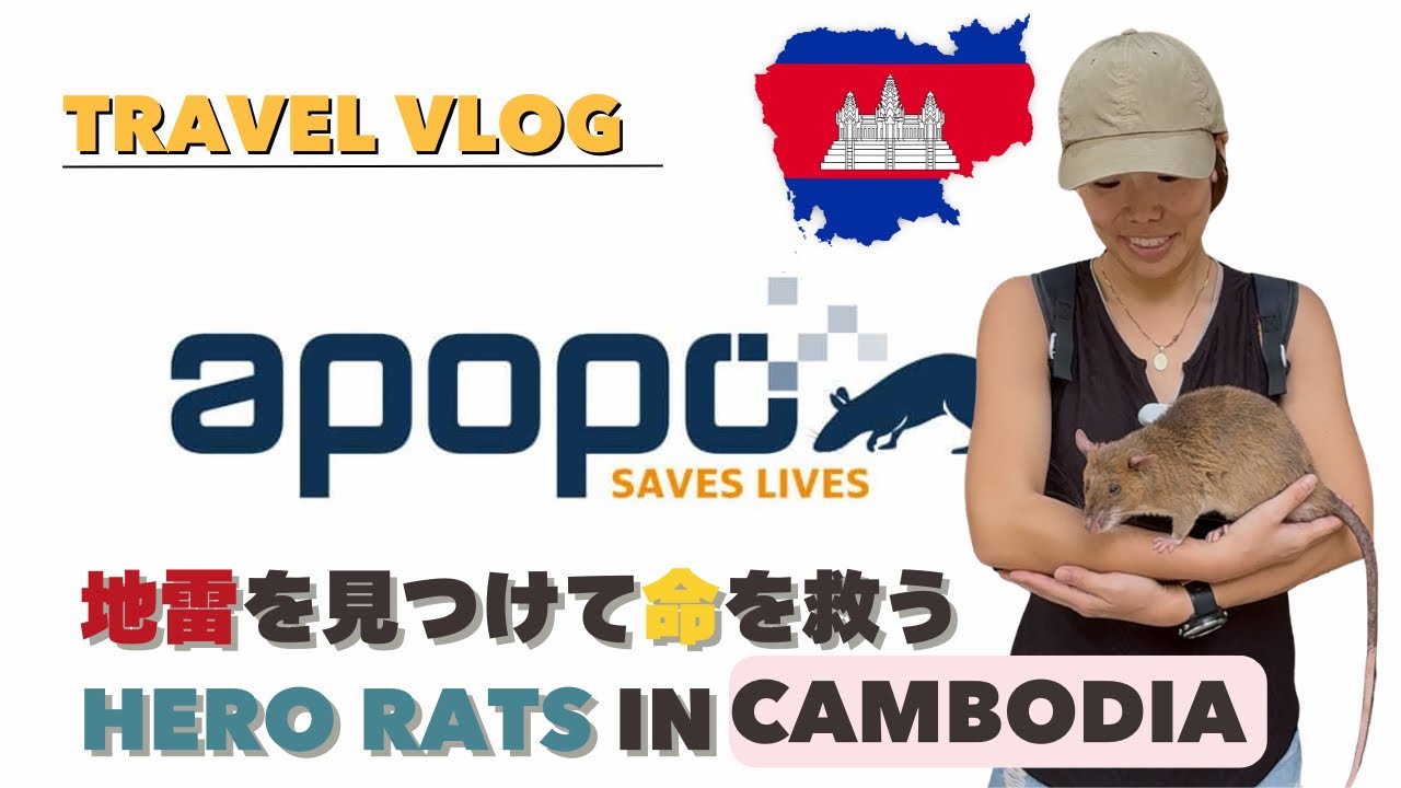 【Cambodia | APOPO】地雷を見つけるネズミ！？Hero Ratsが命を救う現場