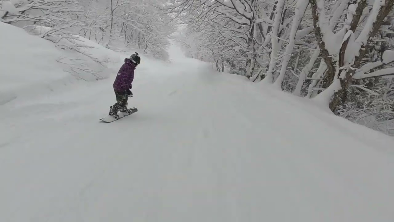 Myoko Suginohara Ski Resort 2025/01/15