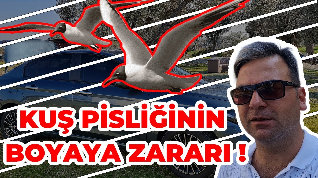 BOYAYI SÖKTÜ / Kuş Pisliği ve Boyaya Verdiği Zarar