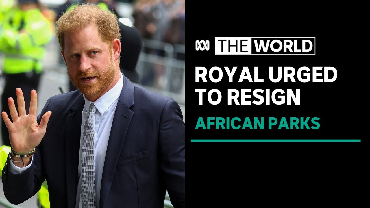 Prince Harry urged to step down from African Parks charity linked to abuse claims | The World