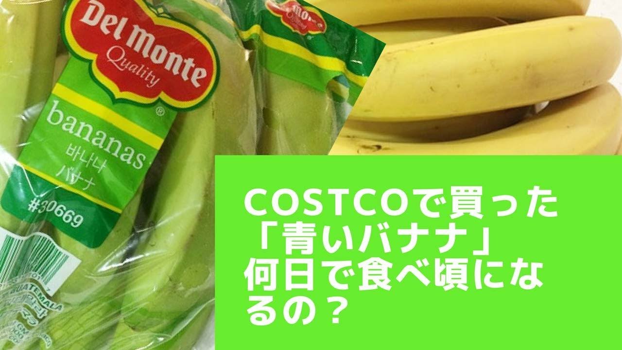 コストコ 青いバナナの食べ頃は何日後？（追熟までの日数・美味しい食べ方）/ COSTCO banana