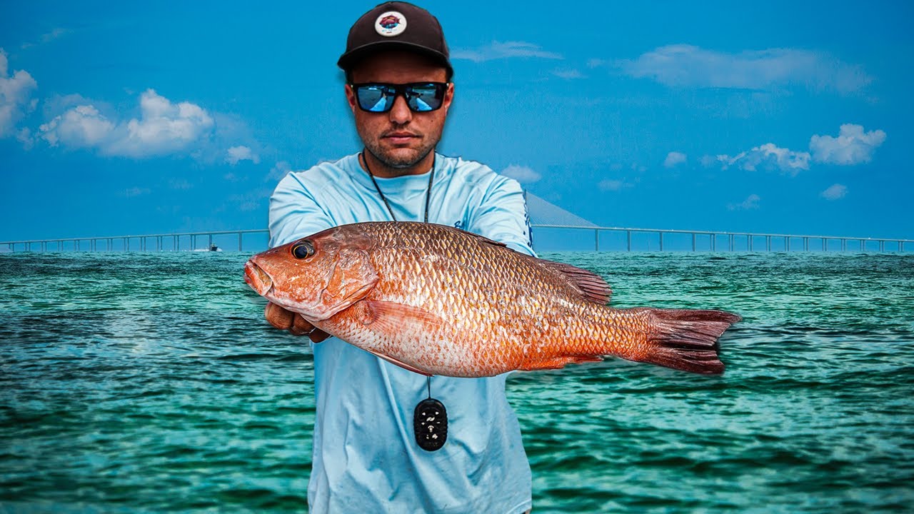 Fishing For Giant Mangrove Snapper In Popular Spots!