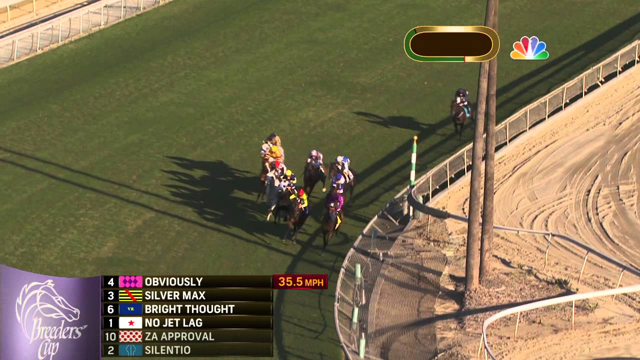 2013 Breeders' Cup Mile - Wise Dan