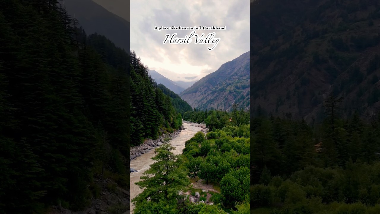 The best kept secret of Uttarakhand- Harsil Valley ❤️