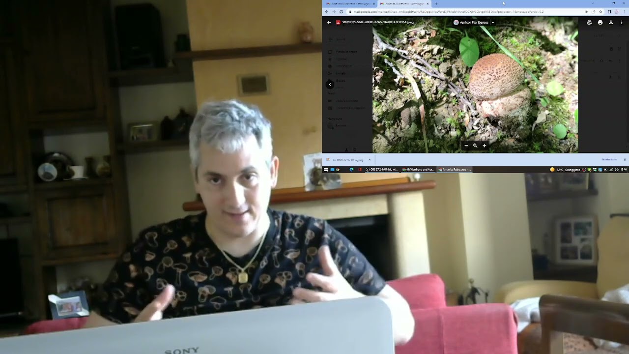 Amanita Rubescens - conoscere i funghi - Pillole di micologia con Giacomo Jack Ispettore Micologo -