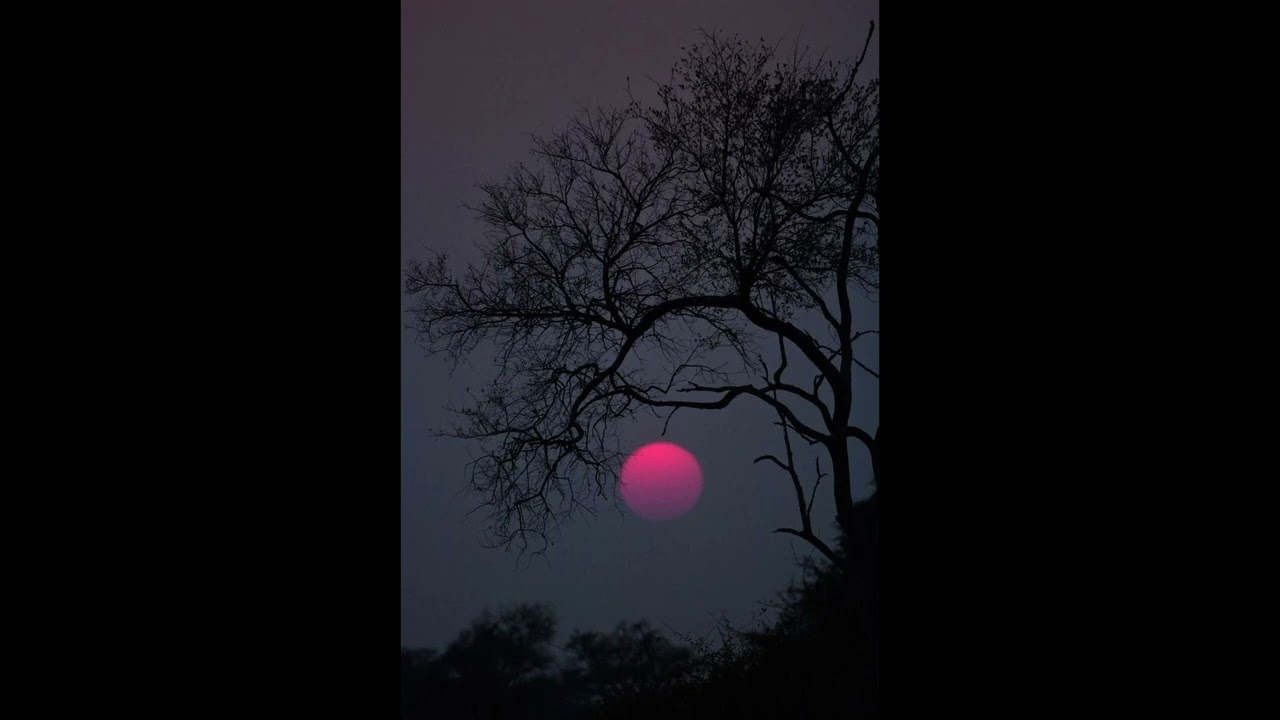 (free) bon iver x folk guitar type beat 