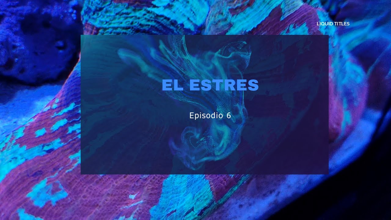 Podcast Acuarios y Mas.  T1E07 El Estrés en los Peces de Acuario
