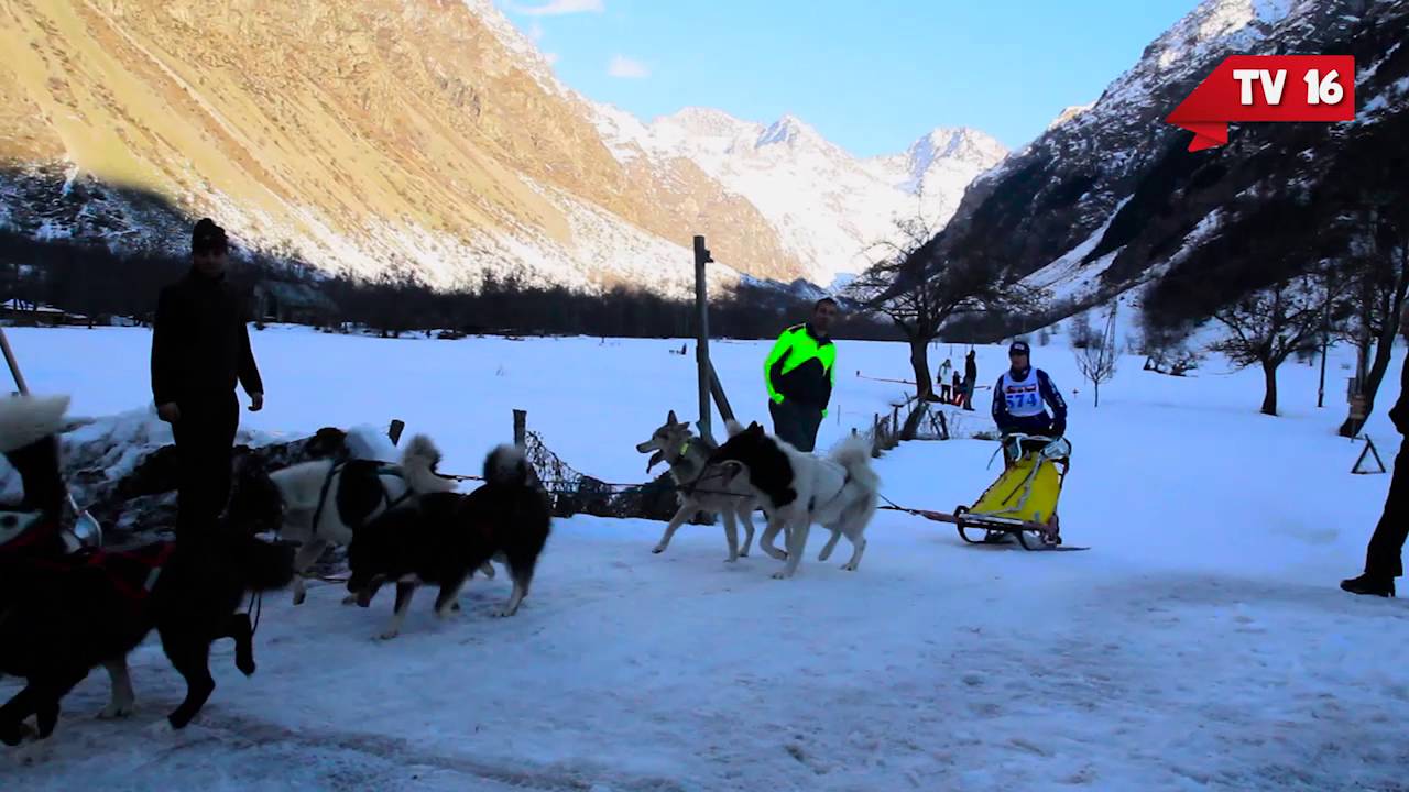 La Valgaude 2016 - Une course de chien de tra&icirc;neau internationale ! - TV16