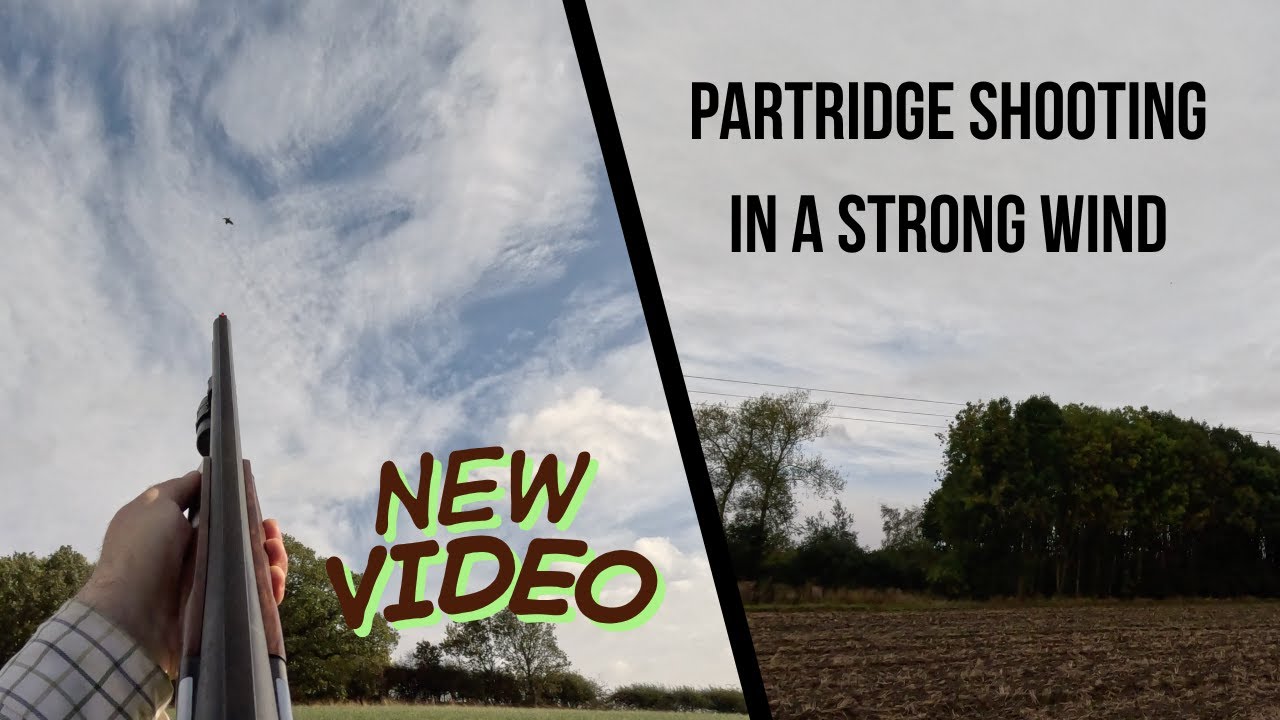Partridge Shooting in Storm Amy!!