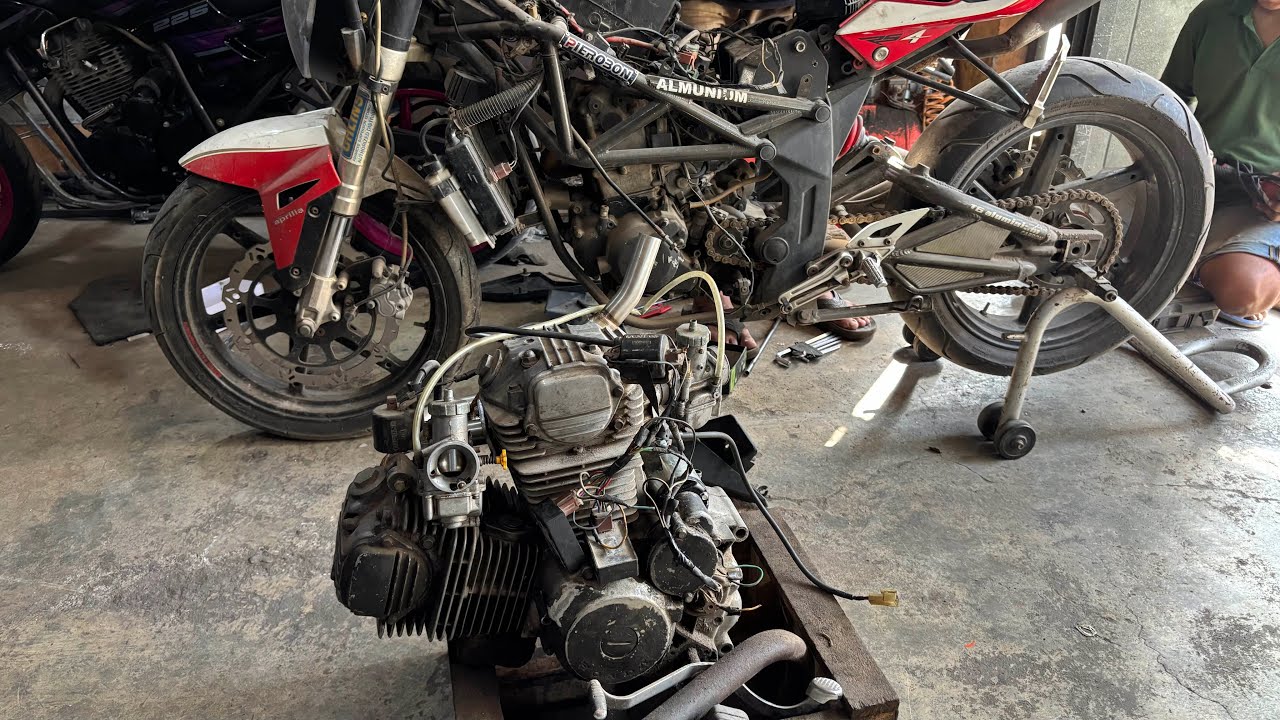 Minerva megelli 250 swap engine-tiger L engine….part1
