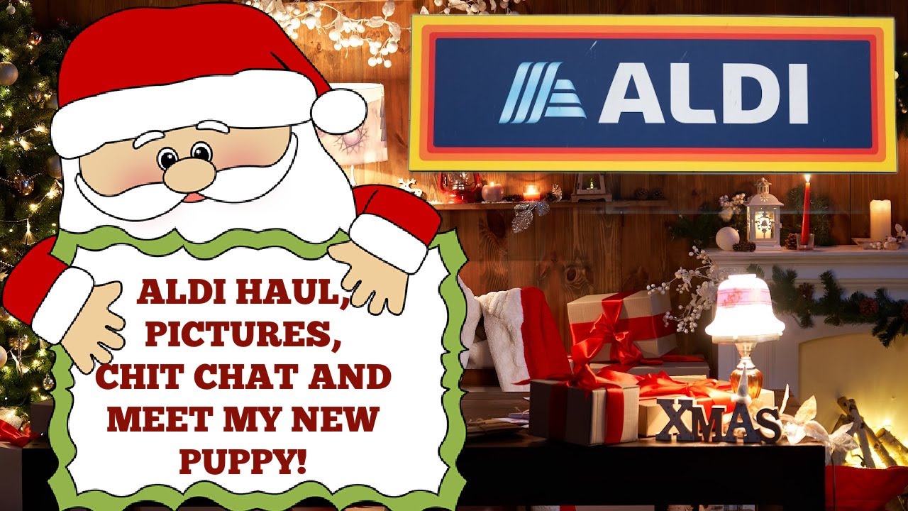 НОВЫЙ ALDI HAUL И ПОЗНАКОМЬТЕСЬ С МОИМ НОВЫМ ЩЕНКОМ