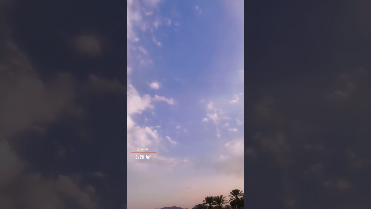 حمام ياللي في البساتين يلعب طرب