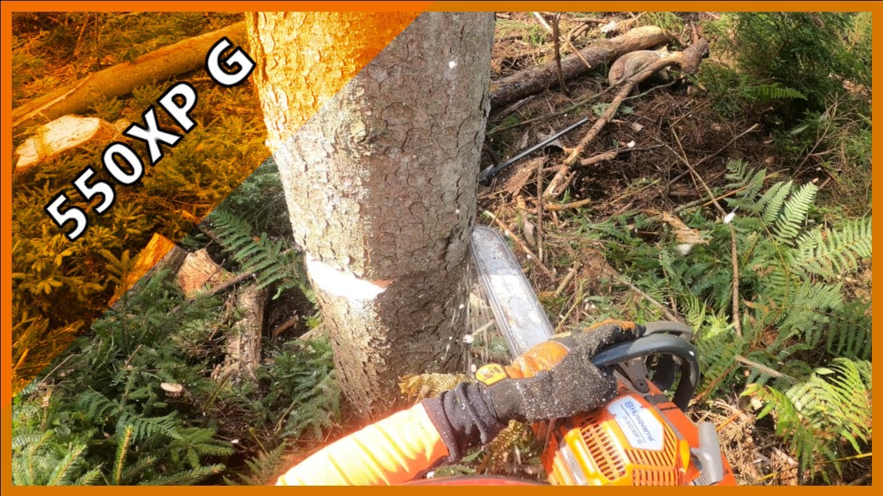 Käferfichten🌲Husqvarna 550XP G