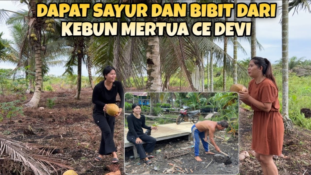 BERBURU KE KEBUN MERTUA CE DEVI DAN CARI BIBIT JAMBU JAMAIKA BUAT TANAM DI DEPAN RUMAH
