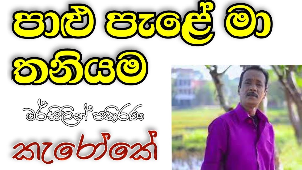 Palu Pale Ma Thaniwama | Karoake Without Voice | පාළු පැලේ මා තනියම කැරෝකේ Mersilin Pathirana Karoke