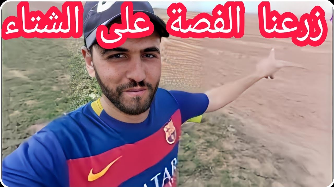 زراعة الفصة بالمغرب: هاكيفاش قدينا الأرض وزرعنا الفصة على الشتاء