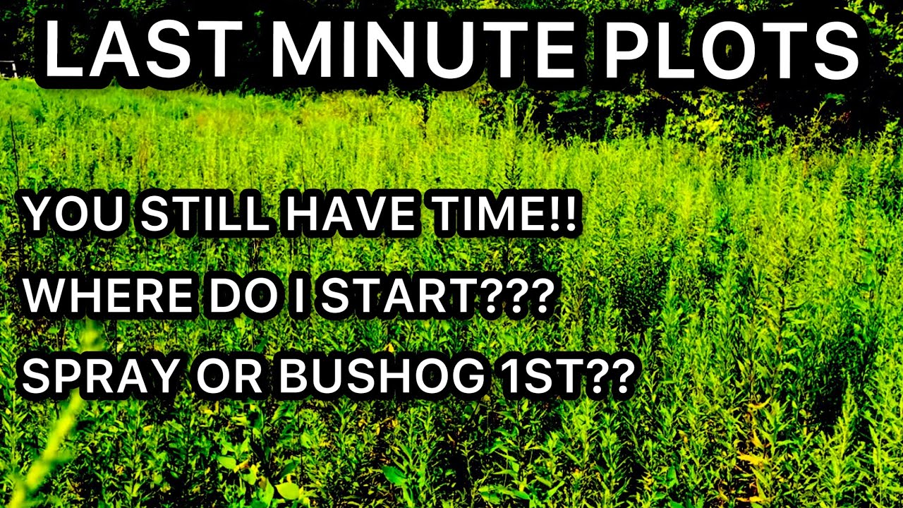 FOOD PLOTS...SPRAY OR BUSHOG FIRST??? PROCRASTINATOR PLOT!!