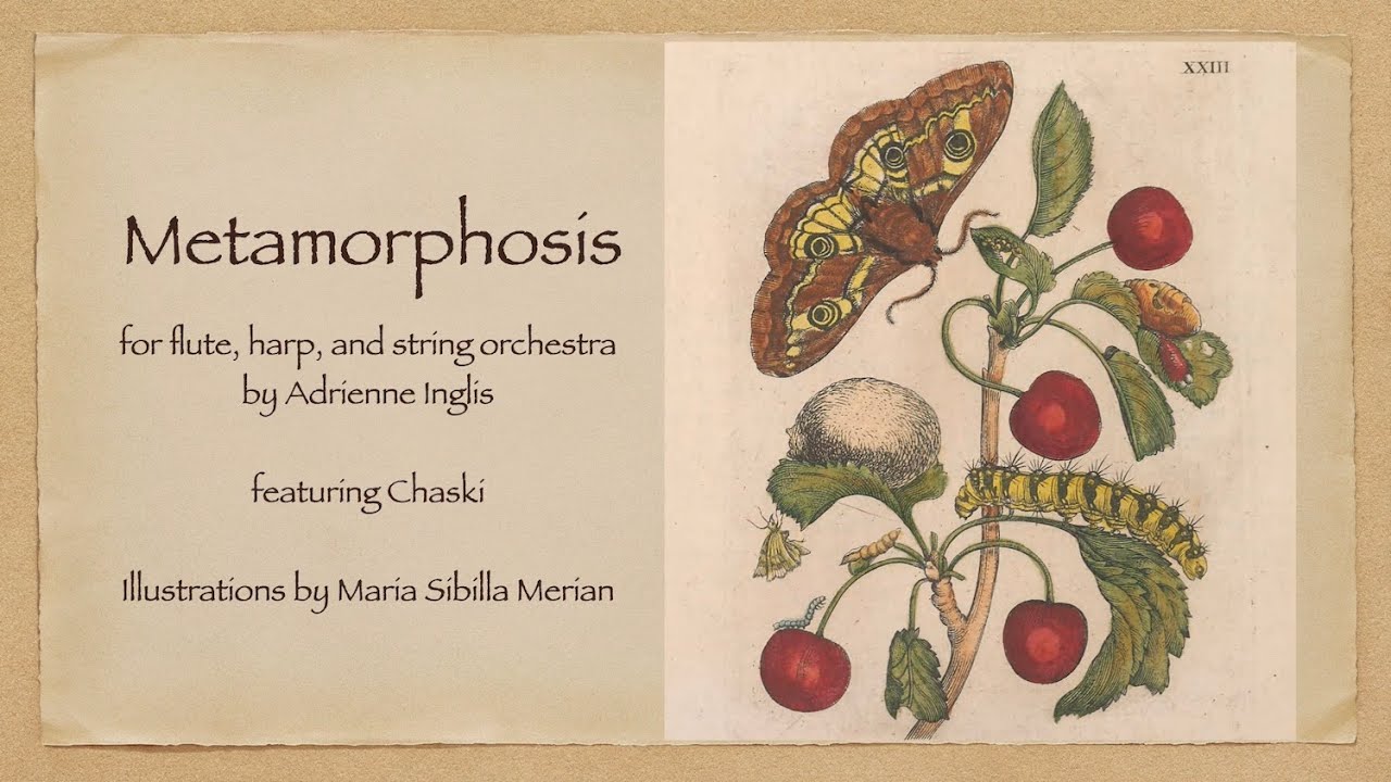 Slideshow of the work of Maria Sybilla Merian that inspired Metamorphosis (no sound)