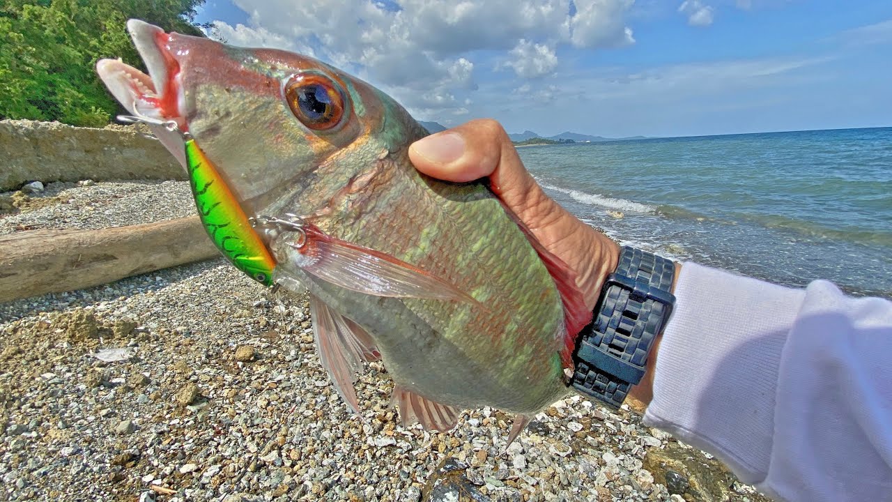 UNBOXING & Uji Coba MINNOW KILLER di kelasnya..!! | Umpan Casting Pinggiran
