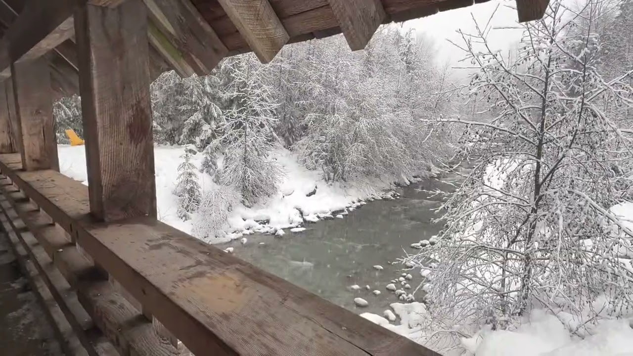 Whistler in a Winter Wonderland, Jan 10, 20260