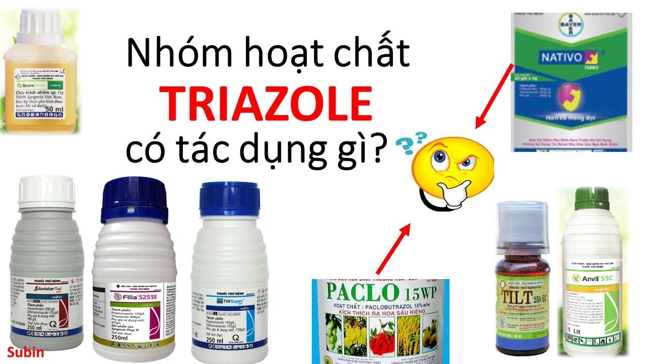 Tìm hiểu nhóm TRiAZOLE trong các sản phẩm thuốc BVTV | Syngenta | Bayer ? | Dược sĩ cây trồng