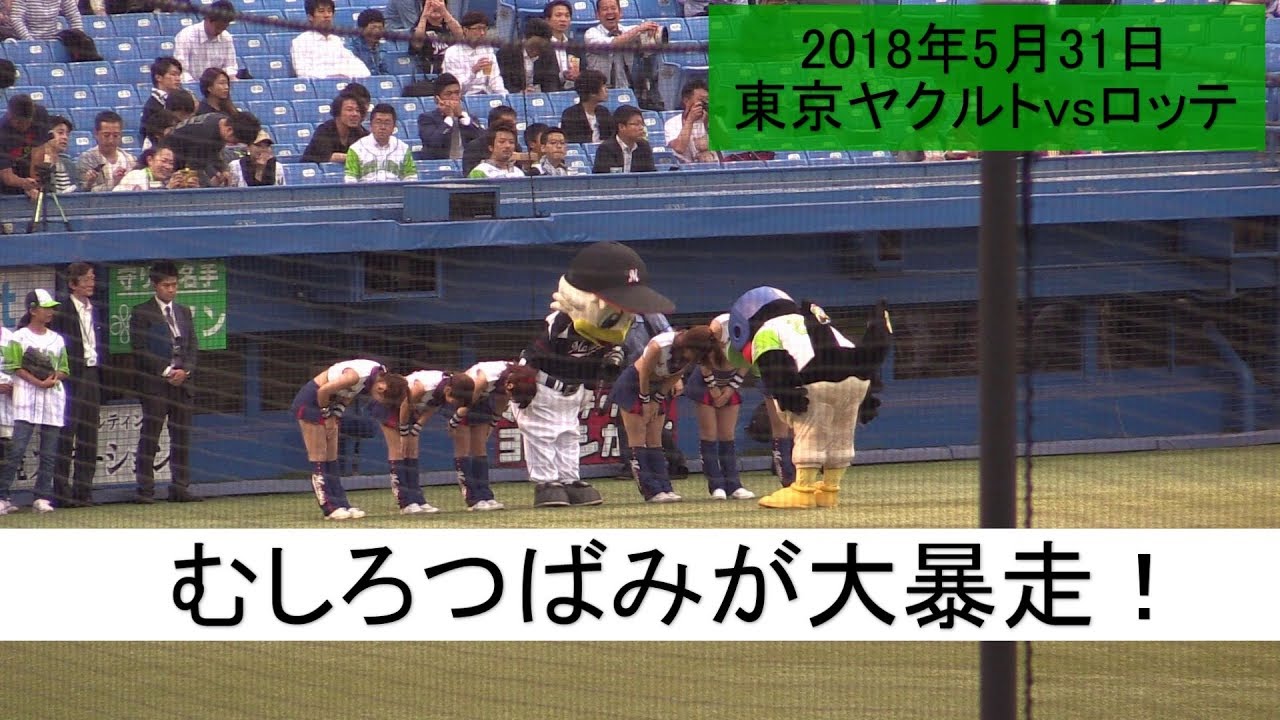 つば九郎、つばみにマーくんタジタジ！？　2018年5月31日　東京ヤクルトvsロッテ　この日のつば九郎がよくわかる！時々つばみ。