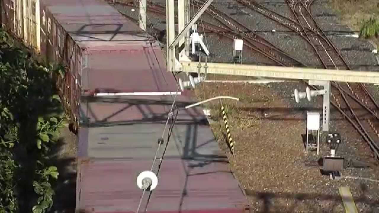 #隅田川駅の貨物入れ替え風景（HD300　EF65　EH200　901号機　EH500）