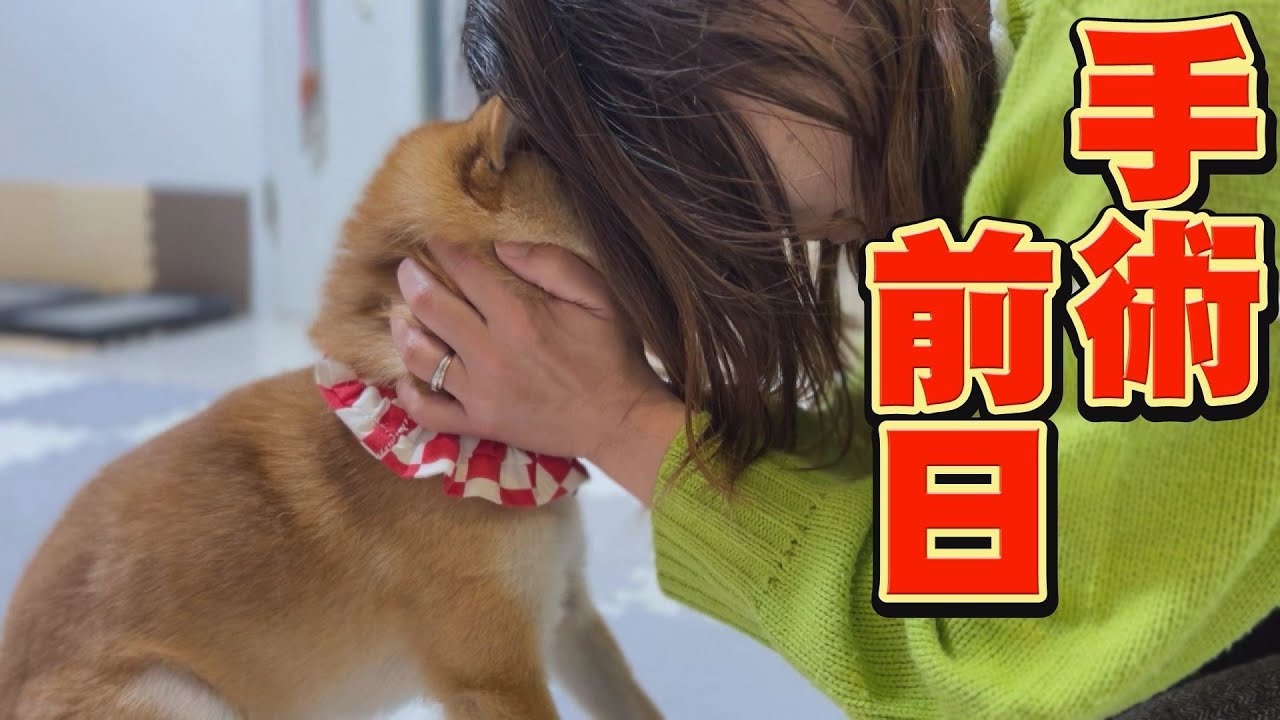 神様！！どうかこの子をお守りください！！