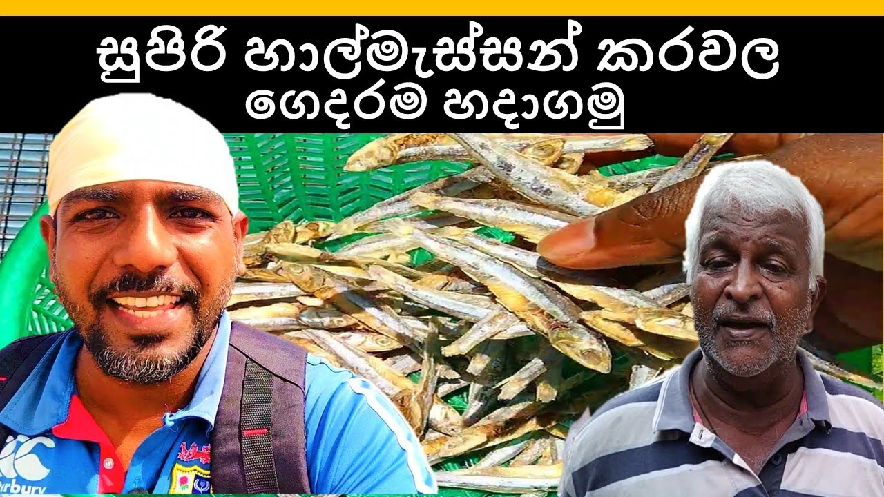 හාල්මැස්සන් කරවල ගෙදරදීම පහසුවෙන් හදාගමු | sprats dry fish