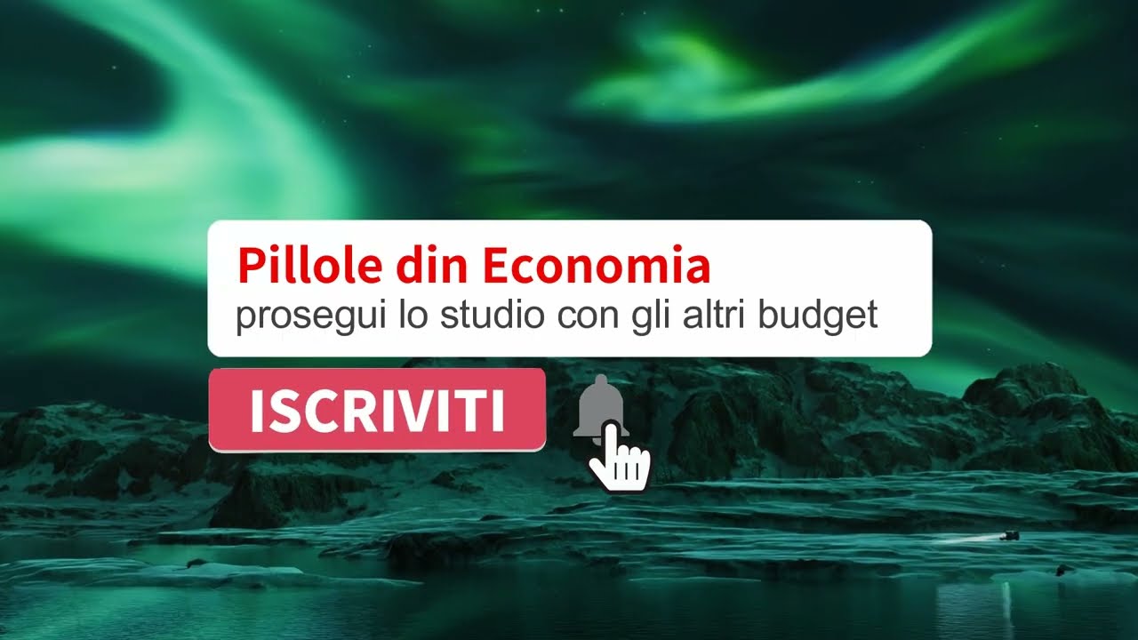 I BUDGET settoriali  - verso la redazione del Budget Economico previsionale