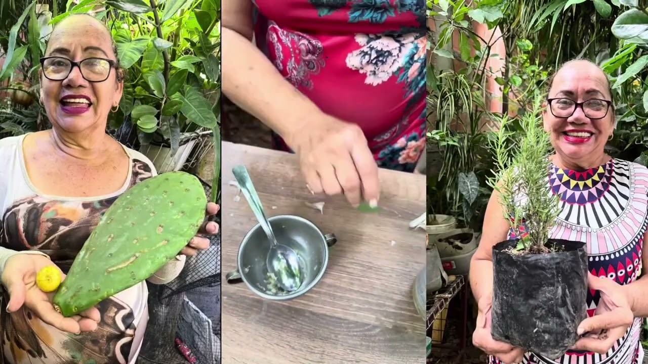 Elimina El Hongo Cándida 😲Con Esta Receta Súper Sencilla 