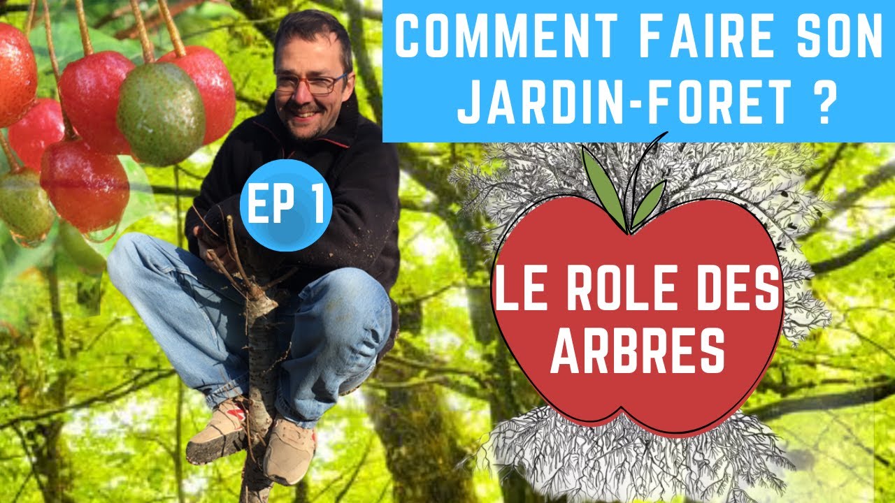 Comment faire son jardin-forêt ? (épisode 1) Le rôle des arbres.