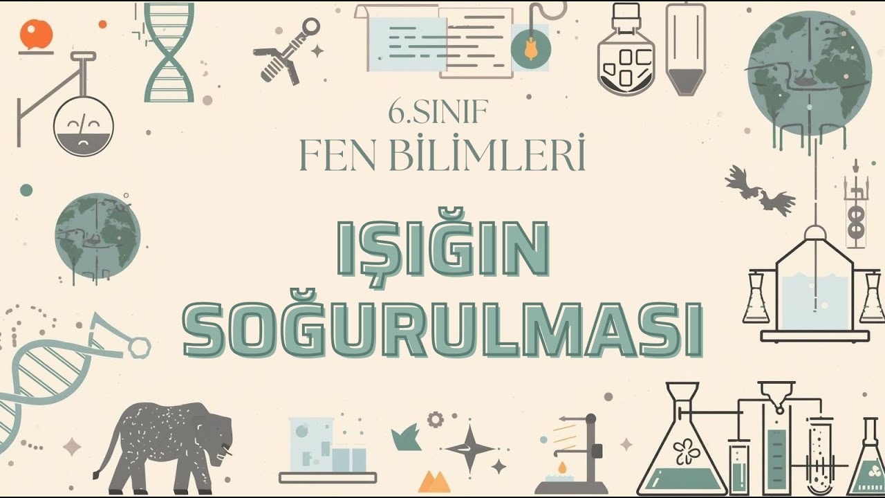 6. Sınıf Fen Bilimleri – Işığın Soğurulması #2026