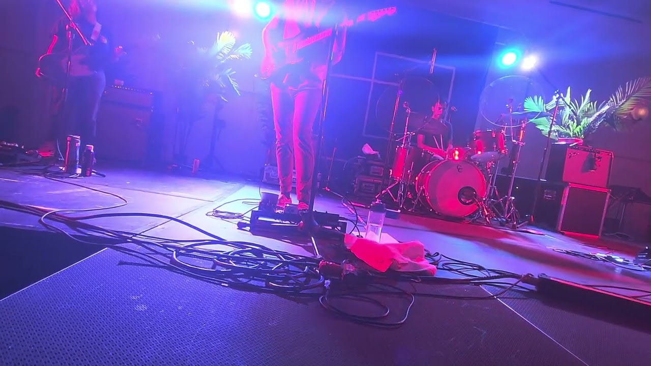 pinegrove habitat live