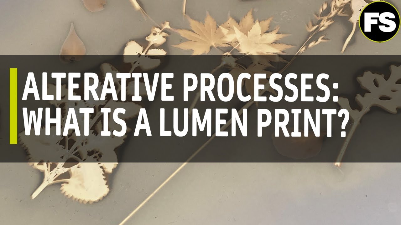 Alternative Processes: Lumen Printing - Fotospeed | Paper for Fine Art & Photography