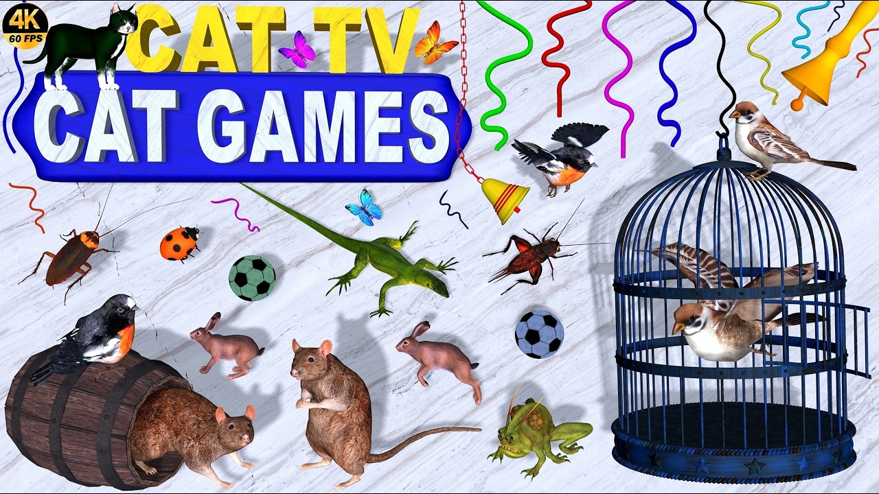 CAT GAMES | BEST VIDEO FOR CATS TO WATCH &ndash; ULTIMATE ENTERTAINMENT FOR FELINE FRIENDS 🐱 CAT TV 4K
