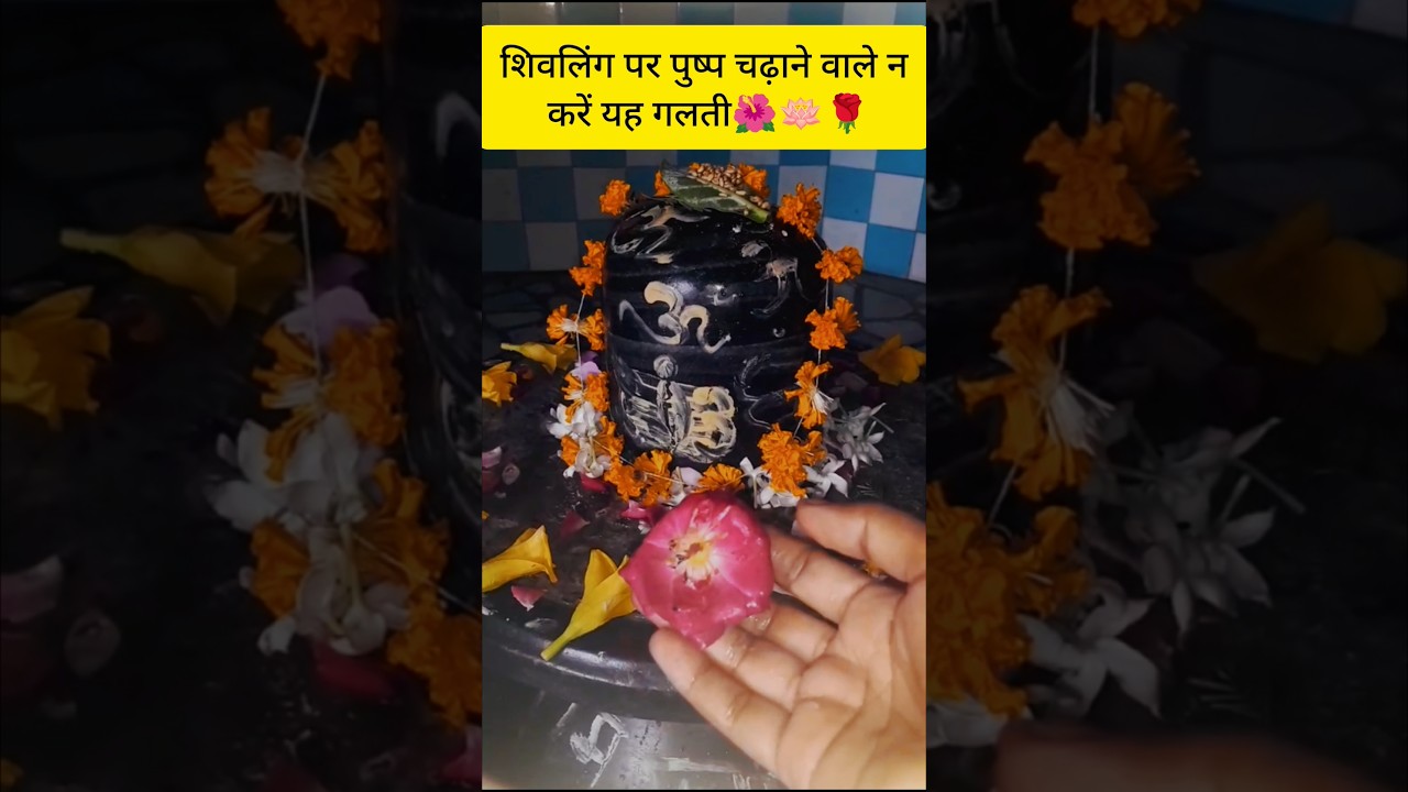 शिवलिंग पर पुष्प चढ़ाने वाले न करें यह गलती 🌺🙏🏻 #shorts #viral #shivling  #pradeepmishra #flower