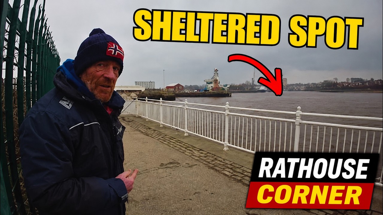 This Is Why I Chose The Rathouse Corner  Sheltered Out That Wind