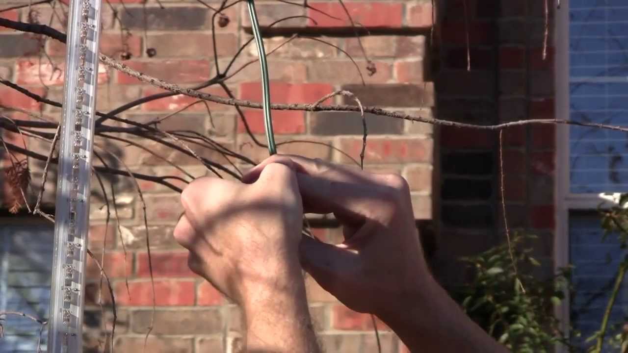 How To Install Animated Snowfall Tubes in the Foliage of Trees