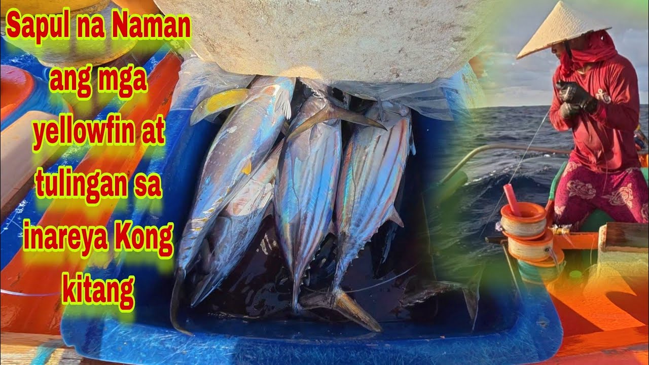 Pacific adv. P8 | Sapul na Naman ang yellowfin at tulingan sa inareya Kong kitang 