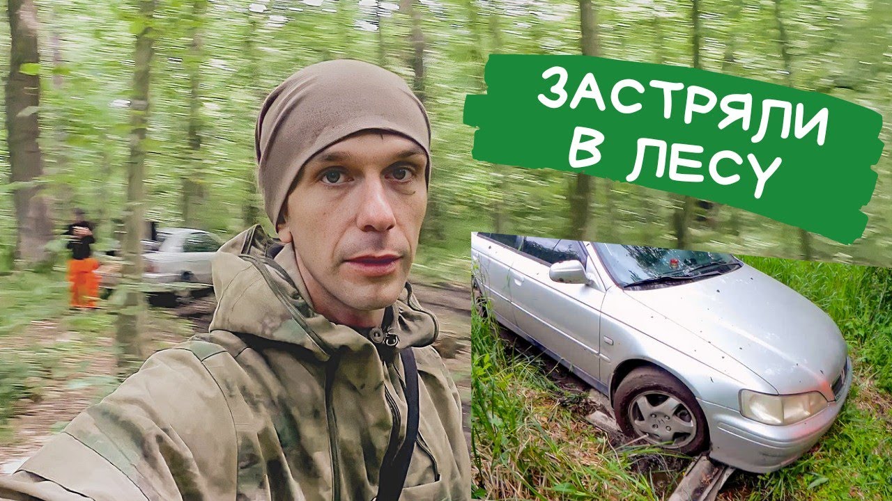 Нашли некопанное место в лесу. Приборный поиск с GARRETT ACE 300i и Квазар АРМ