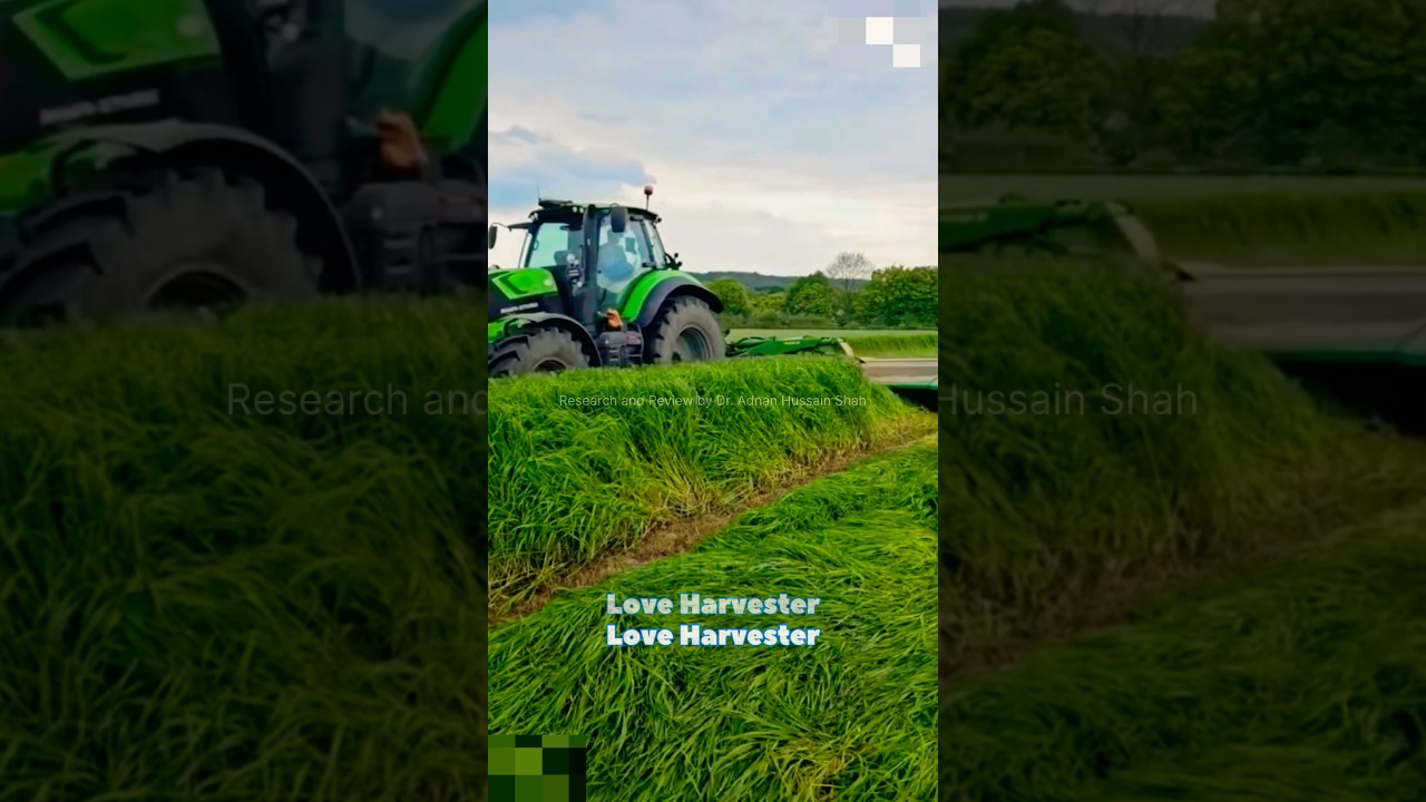Quality Rhodes grass (Chloris gayana)  harvester  #grass #grass-harvester #harvesting #farming