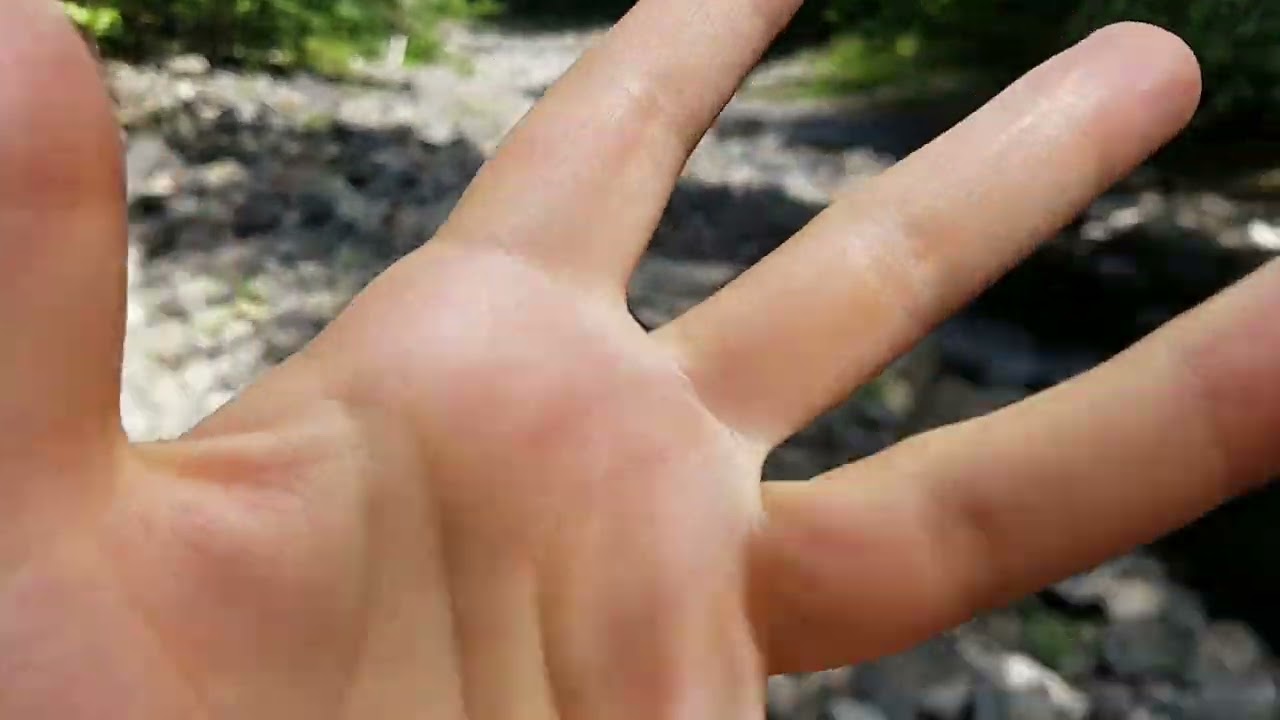 lo-fi nature ASMR | 💤For Kara - hand movements/taps - sh - it's ok - a little windy - by the creek🌳🍃
