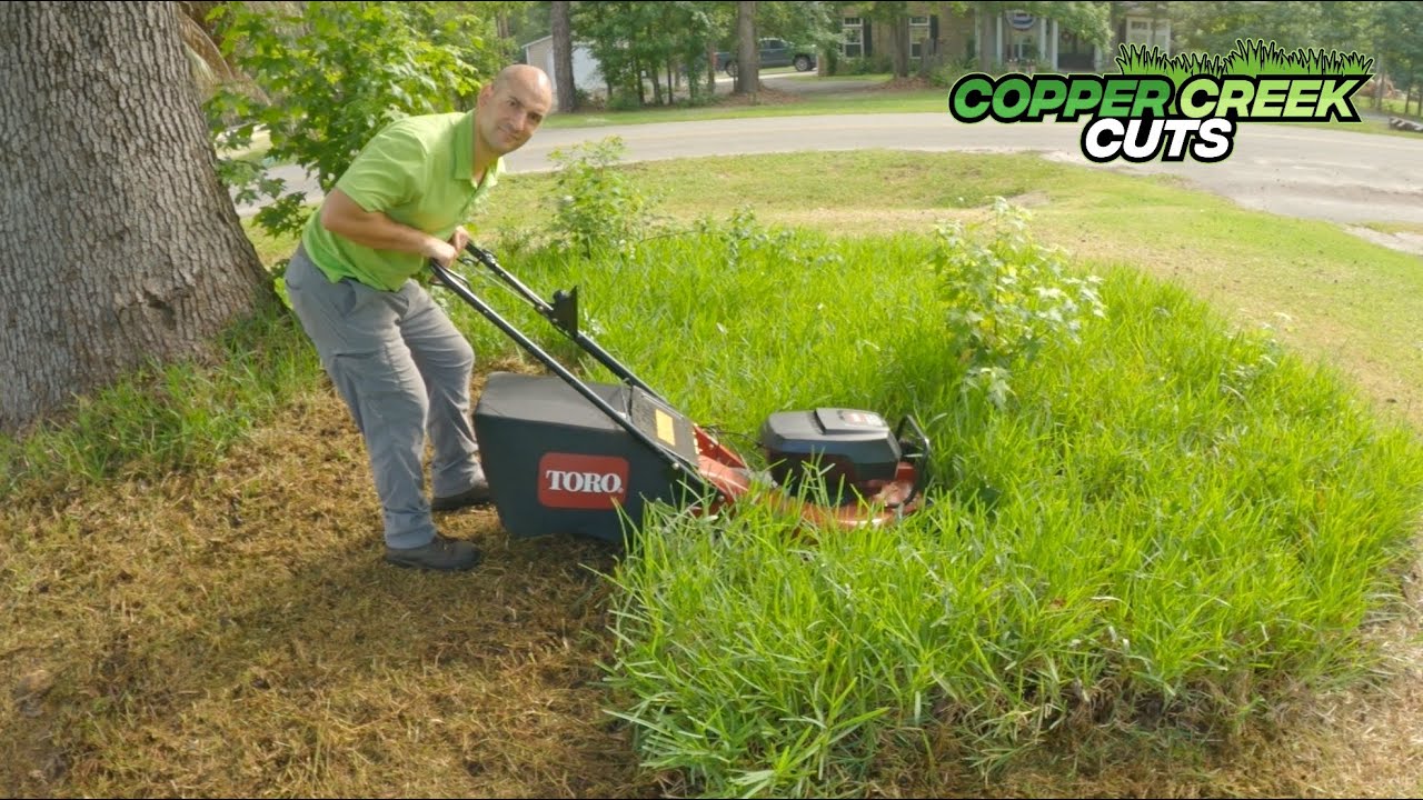 Push Mowing Tall Grass For Fun And Profit (Oddly Satisfying As Always)
