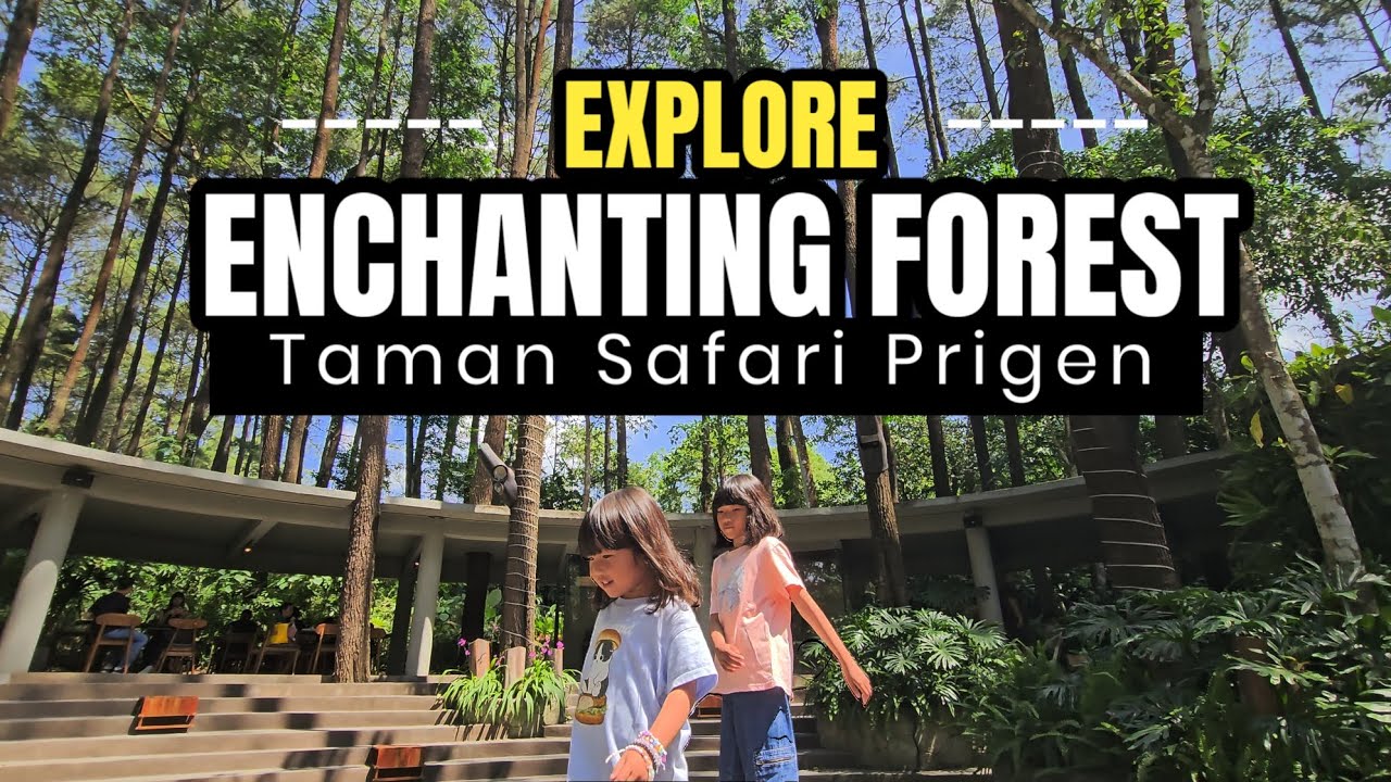 Explore 🌲 Enchanting Forest 🌲🌿 Taman Safari Prigen 🌲 Hutan Pinus Aesthetic